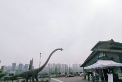 -恐龙探索乐园(磁器口店)