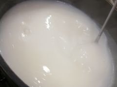 粥底火锅-顺德一品粥·20年凤城老字号(芳村店)