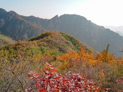 -大岭沟猕猴桃谷风景区