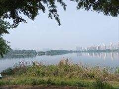 -金银湖国家城市湿地公园