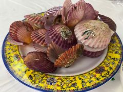 扇贝-胖子饺子馆·海鲜家常菜(海军博物馆店)