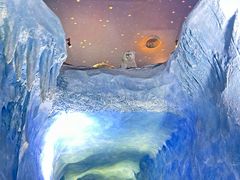 -珠海长隆海洋王国