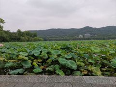 -杭州萧山国际机场