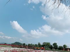 -径山花海