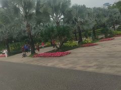 -南宁南湖公园