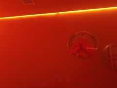 -霖公馆SPA·足道(普善路店)
