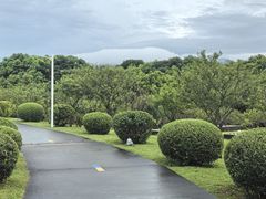 -紫马岭公园