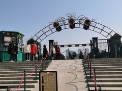 -武汉知音号