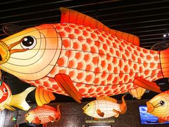 -肥福排档(星光店)
