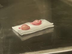 -贝利宠物医院·骨科·眼科·肿瘤转诊中心(南坪诊疗中心)
