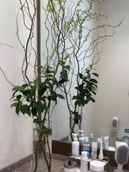 -智美品质医美