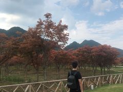 -云漫湖生态度假公园