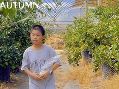 -前小桔亲子创意农场·草莓采摘·露营烧烤