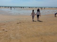 -日照海滨国家森林公园