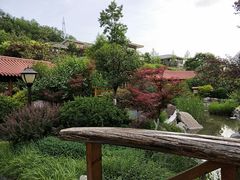 -麦积山温泉