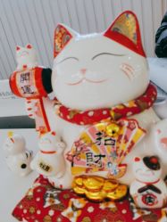 -蕾特恩专业祛痘·皮肤管理