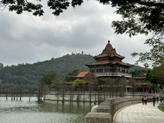 -顺峰山公园