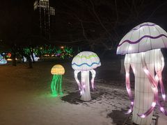 -沈阳奥体冰雪嘉年华