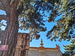 -五台山风景名胜区