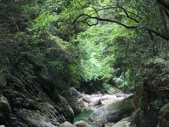 -祁门牯牛降观音堂风景区