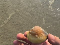 -万尾金滩