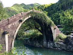 -鹿亭中村