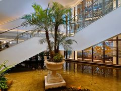 -广州白天鹅宾馆