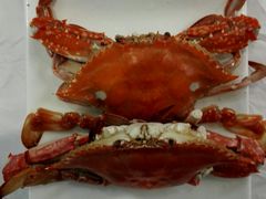 -宾朋海鲜特色美食餐厅·纯手工鲅鱼水饺(兴海路店)