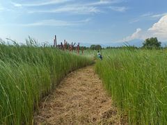 -野鸭湖国家湿地公园