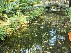 -成都市活水公园