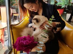 -咖法森林·咖啡  酒吧(天河店)