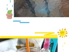 -柴犬高等学院·狗咖·柴犬售卖·宠物训练