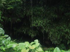 -海口火山口国家地质公园