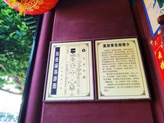 -飞云楼