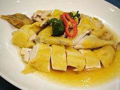 -濠景渔港(汇通店)