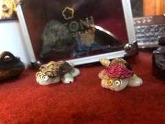 -吉祥圣雪藏餐