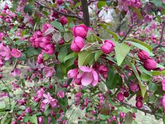 -元大都城垣遗址公园