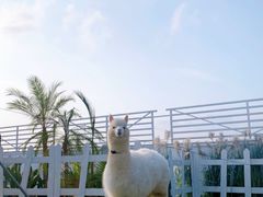 -Blue Concept Cafe&Farm·關於藍