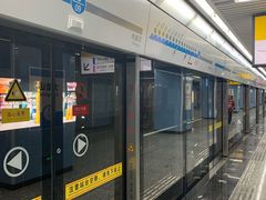 -大龙山(地铁站)