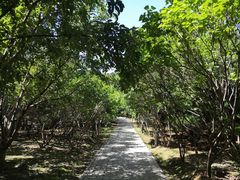 -大兴滨河森林公园