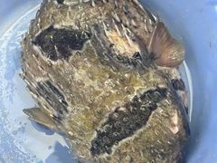 -八方海味餐厅