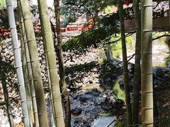 -花溪风景区