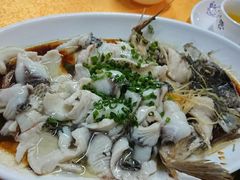 -鸽王世家(东华东路店)