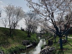 -羊山湖公园