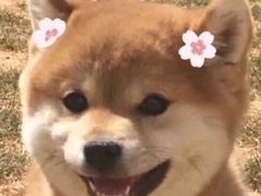 -UME影城(南京1912店)