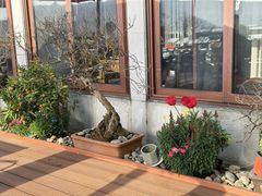 -湖畔居茶楼(湖滨店)