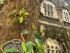 -涠洲岛-圣母堂