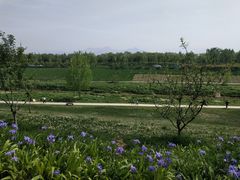 -洨河生态公园