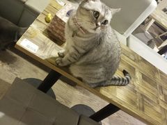 -小时光咖啡馆(开森度假森林店)