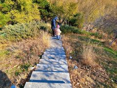 -莫子山公园